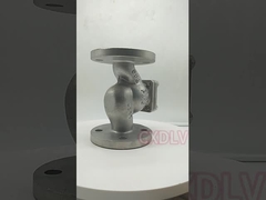 Bride d'arrêt de globe soulevant la valve non de retour SS316 à haute pression WCB