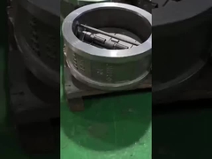 soupape de contrôle à double plaque