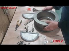 Assemblage de clapet anti-retour à double plaque pour plaquette