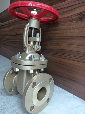 Valve de porte en acier inoxydable CF8 à connexion de bride pour applications industrielles et lourdes