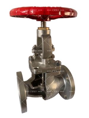 Vanne à soupape à volant à tige montante avec brides en acier inoxydable CF8M 150LB pour le contrôle des fluides et une utilisation facile