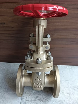 Valve de porte en acier inoxydable CF8 à connexion de bride pour applications industrielles et lourdes